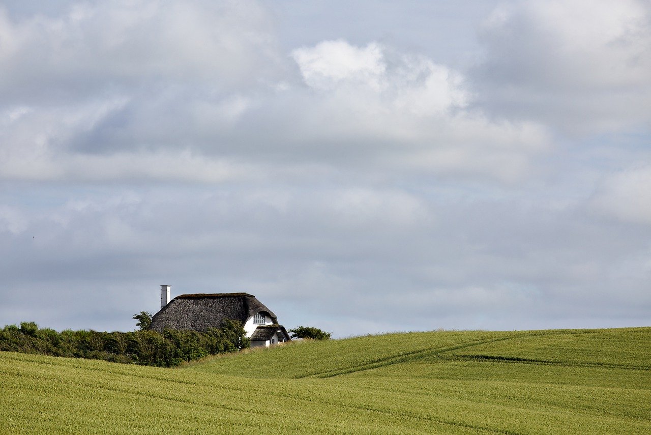 Paint a Perfect Day: Mastering Light in Landscape Art